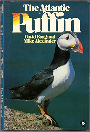 Atlantic Puffin