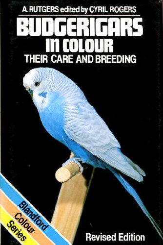 Budgerigars in Colour