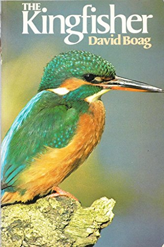 The Kingfisher