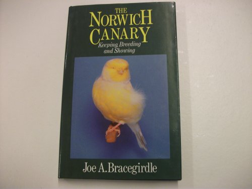 The Norwich Canary