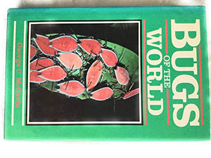 Bugs of the World