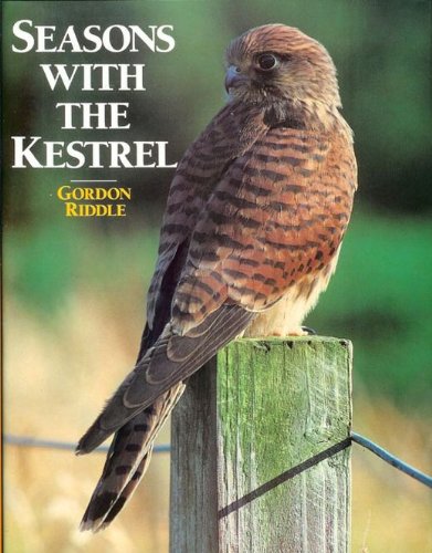 Seasons with the Kestrel
