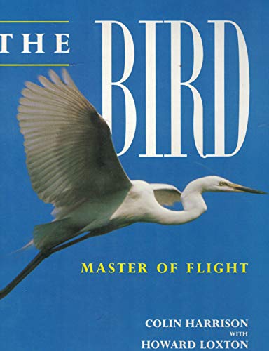 The Bird