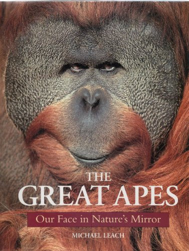 The Great Apes