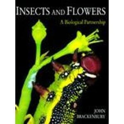 Insects and Flowers