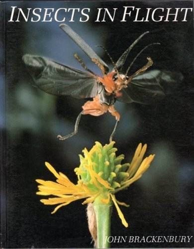 Insects in Flight