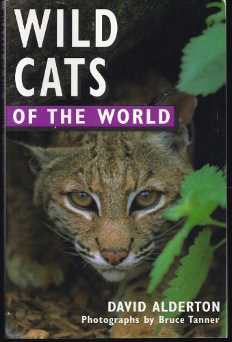 Wild Cats of the World