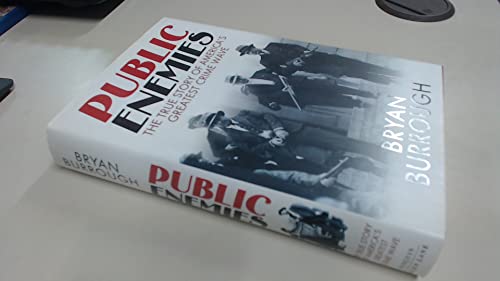Public Enemies