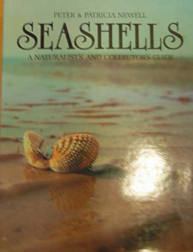 Seashells