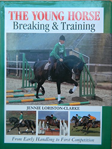 Young Horse Breaking & Training