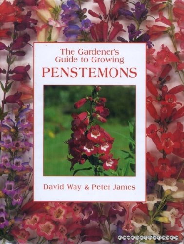 Gardener'S Guide - Penstemons