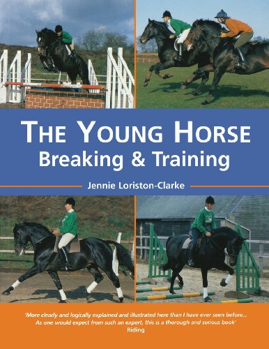 The Young Horse