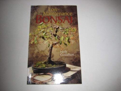 Low-Maintenance Bonsai