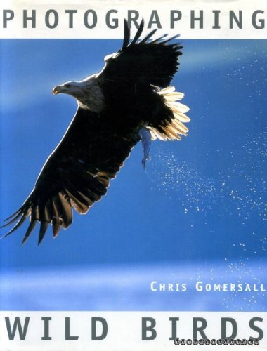 Photographing Wild Birds