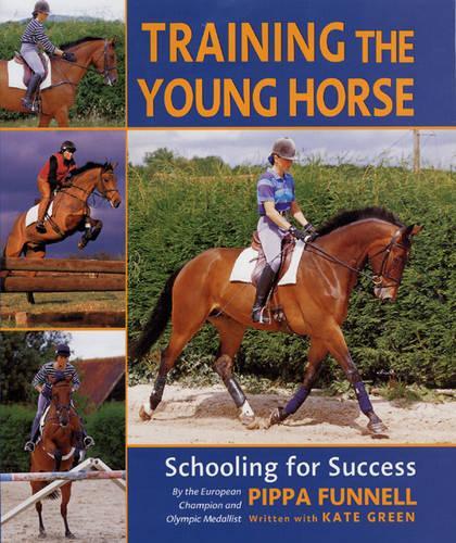 Training the Young Horse