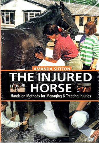 The Injured Horse