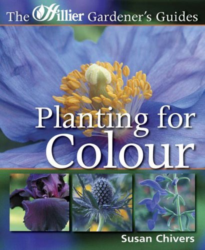 Planting for Colour