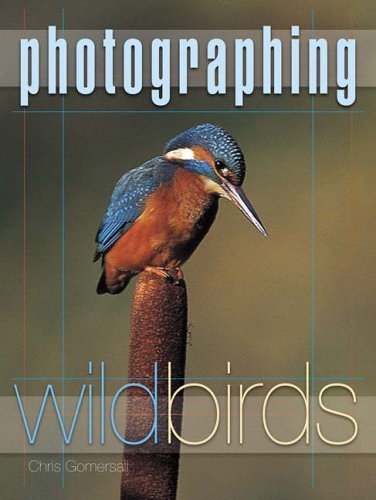 Photographing Wild Birds