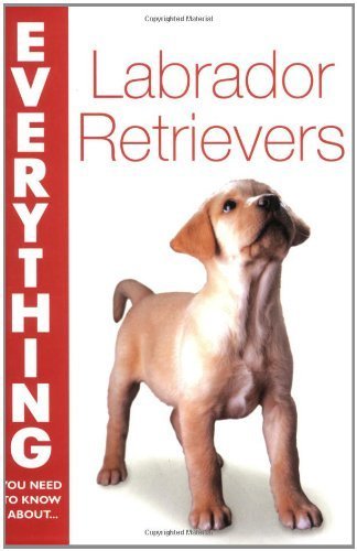 Labrador Retrievers