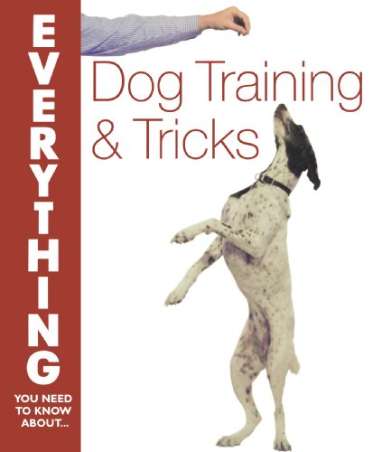 Dog Training and Tricks