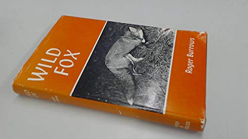 Wild Fox