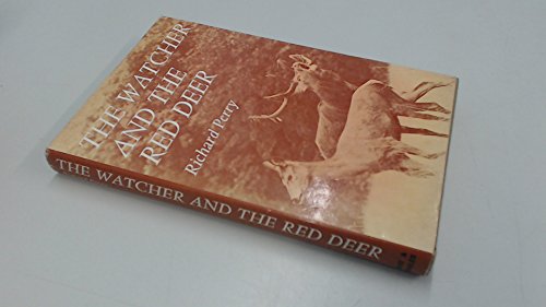 Watcher and the Red Deer