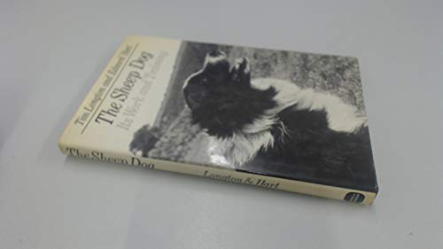 Sheepdog