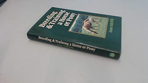 Breeding and Training a Horse or Pony