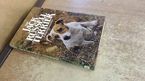 The Jack Russell Terrier