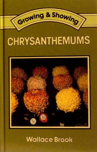 Chrysanthemums