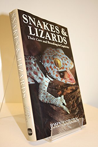 Snakes and Lizards