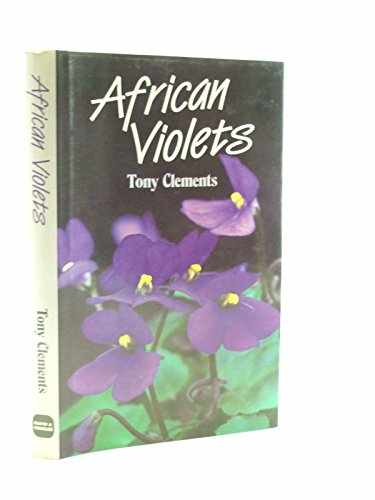 African Violets