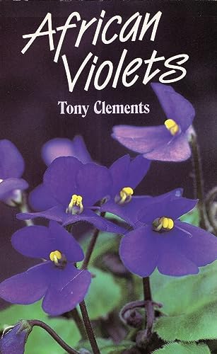 African Violets