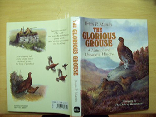 The Glorious Grouse