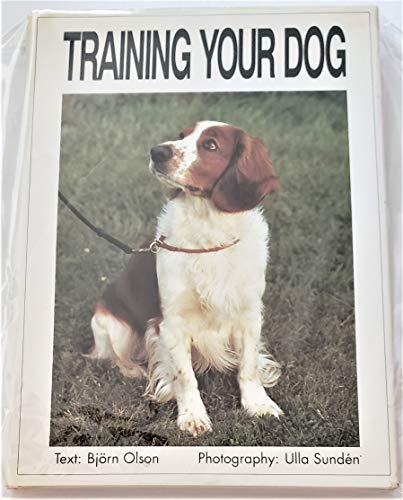 Training Your Dog