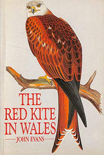 The Red Kite in Wales