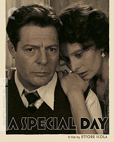 A Special Day