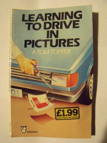 Learning to Drive in Pictures
