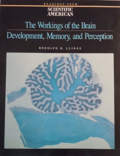 The Workings of the Brain