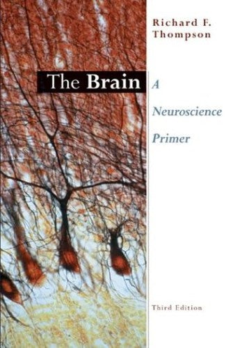 The Brain