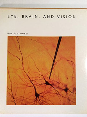 Eye, Brain and Vision