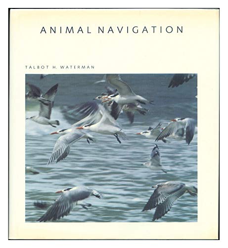 Animal Navigation