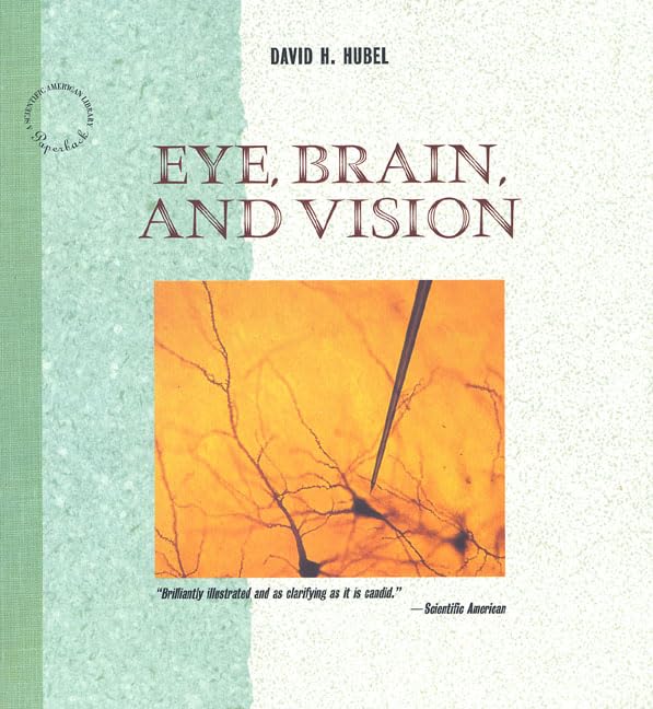 Eye, Brain and Vision