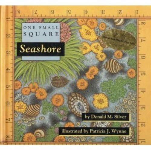 Seashore