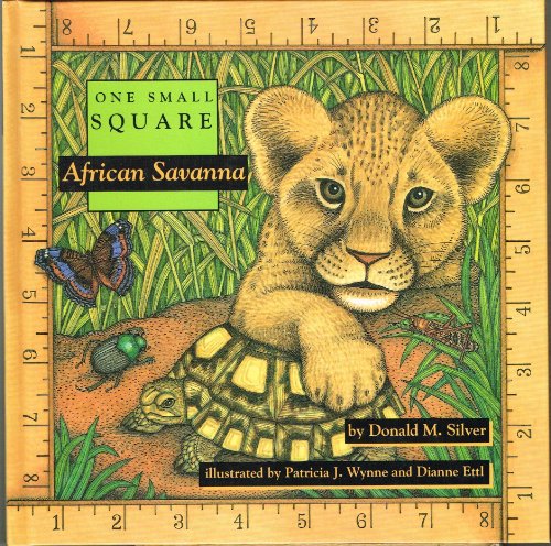 African Savanna