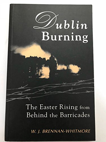 Dublin Burning