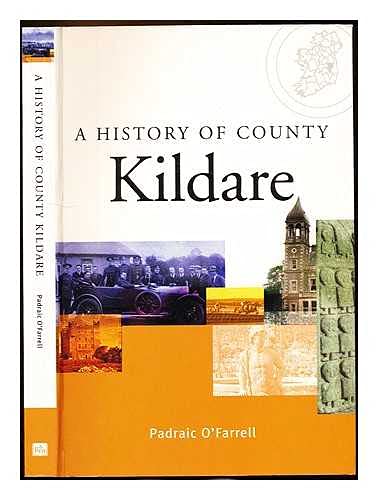 A History of County Kildare