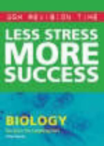 Less Stress More Success