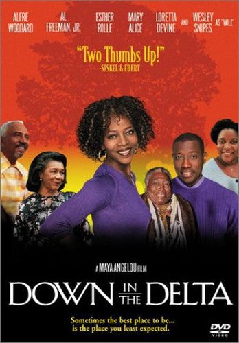 Down in the Delta [DVD] [1999] [Region 1] [US Import] [NTSC]
