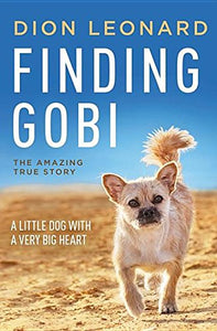 Finding Gobi 